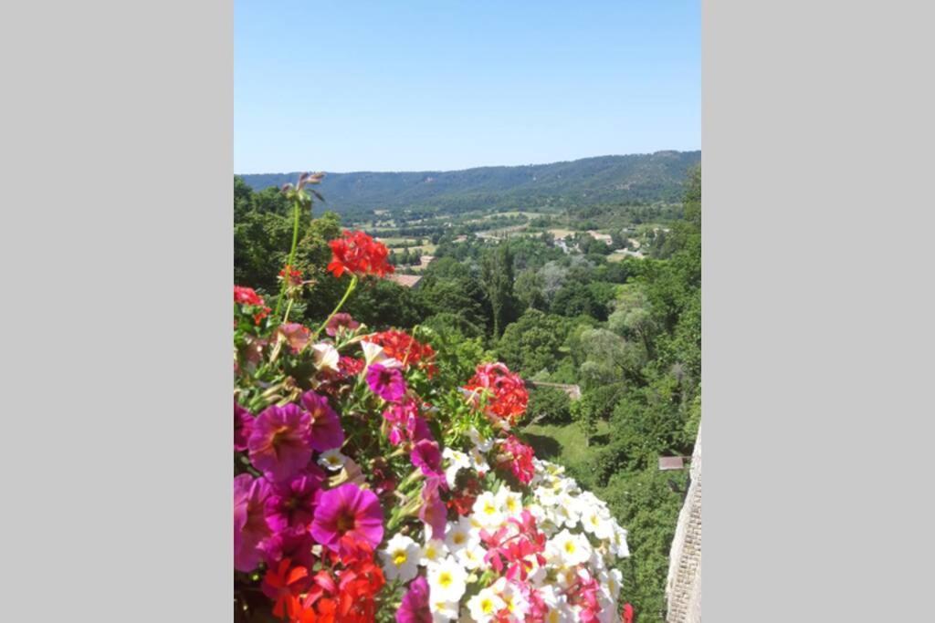 Lou Paradiu Du Verdon Алман ан Прованс Екстериор снимка